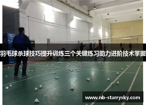 羽毛球杀球技巧提升训练三个关键练习助力进阶技术掌握