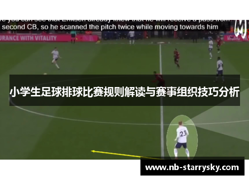 小学生足球排球比赛规则解读与赛事组织技巧分析