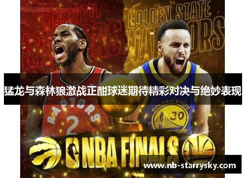猛龙与森林狼激战正酣球迷期待精彩对决与绝妙表现
